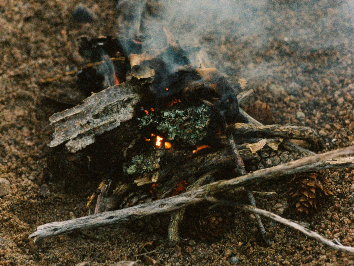 Smouldering bark and twigs on sandy ground