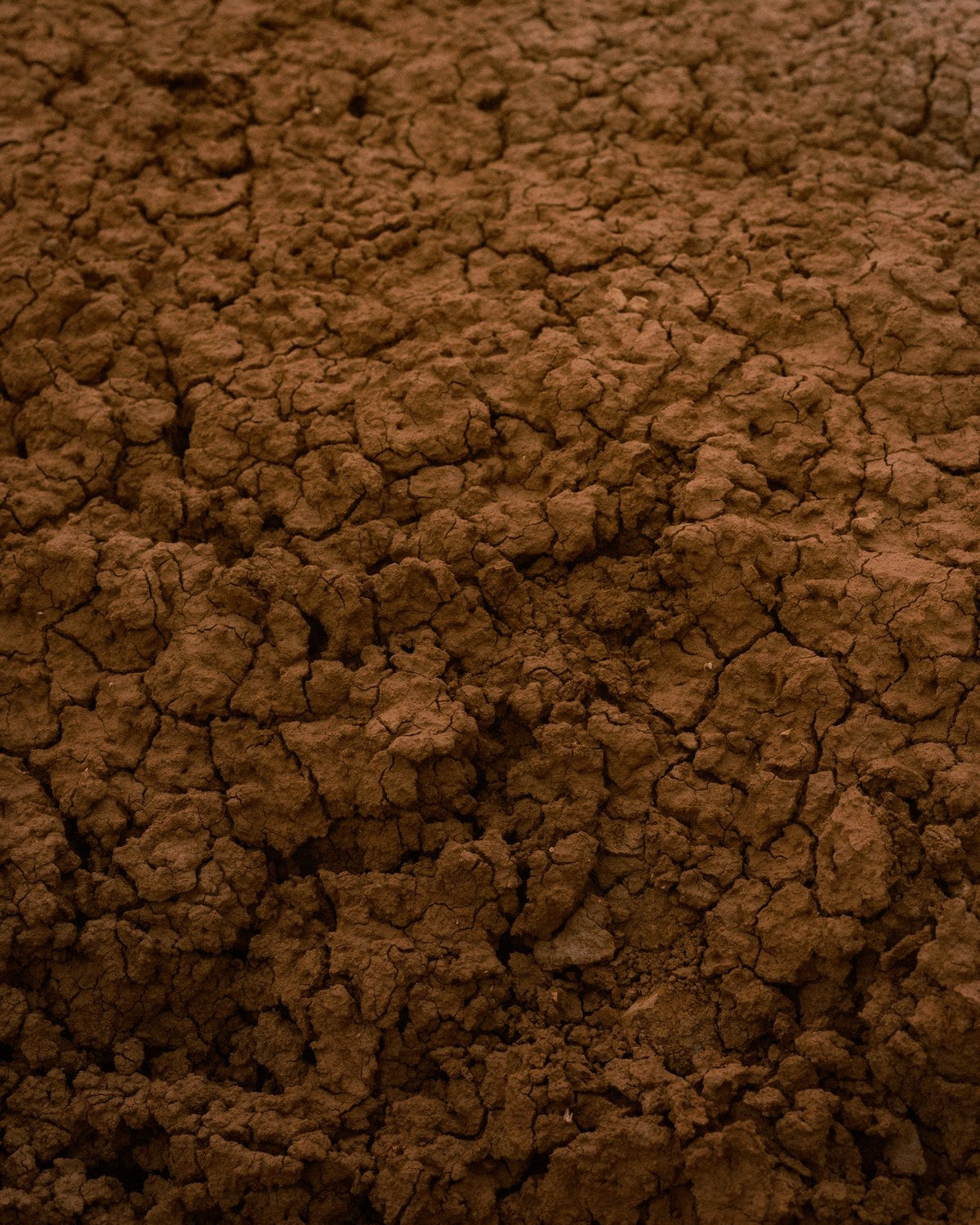 Cracked clay