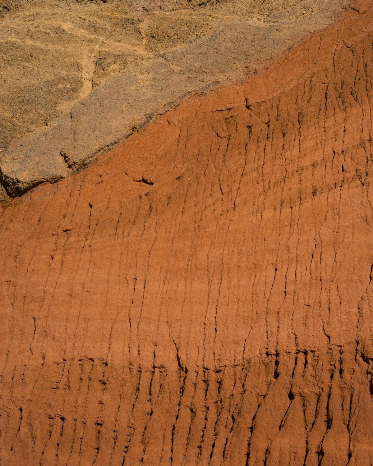 Eroded river bank