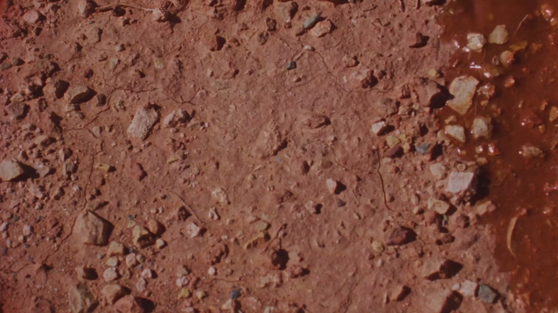 Clay campaign film, header